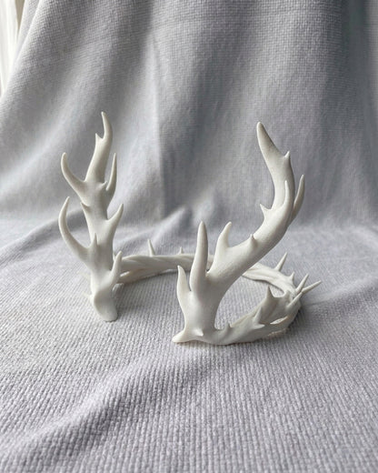 T-Horns